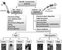 The as prepared nanopowder was used for further citation: Phytogenic Synthesis Of Manganese Dioxide Nanoparticles Using Plant Extracts And Their Biological Application Sciencedirect