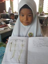 Tersedianya paket teknologi baru dan sumberdaya. Cikgu Syahairi Memerhatikan Tumbesaran Pokok Kacang Hijau ÙÙŠØ³Ø¨ÙˆÙƒ