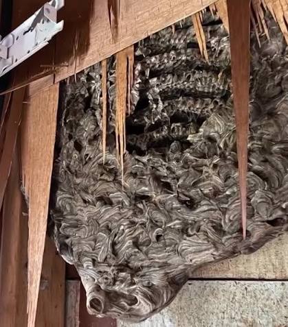 Strange things had been happening in our home lately. It began with faint  noises, like whispers of scratching coming from inside the walls. At first,  we laughed it off, blaming the neighbors