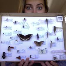 Does anyone know of some good papers