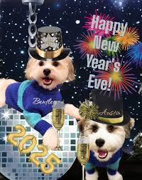 Merry Christmas A Few Days Late! Covid hit our house this year. Thank God  is was just mom and dad! Here's to a happy, healthy New Year!