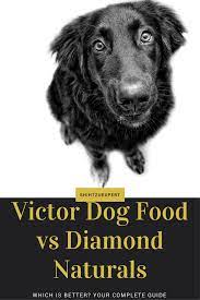 Victor Dog Food Vs Diamond Naturals Your Complete Guide In 2021 Dog Clippers Dogs Healthy Dog Food Recipes