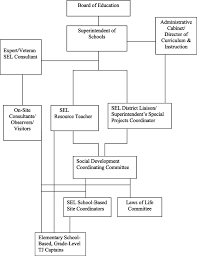 organizational chart of the implementation of social