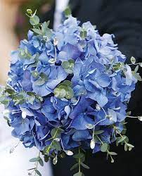 Wedding Flowers Bouquets Hydrangeas Wedding Blue Wedding Flowers Blue Wedding Bouquet