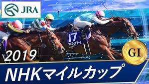 Nhk, also called japan broadcasting corporation, is japan's public broadcaster. 2019å¹´ Nhkãƒžã‚¤ãƒ«ã‚«ãƒƒãƒ— G ç¬¬24å›ž Jraå…¬å¼ Youtube