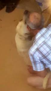 Maybe you would like to learn more about one of these? Antalya Da Igrenc Olay Allah Belani Versin Antalya Da 71 Yasinda Ayaklarini Hortumla Bagladigi Kopege Tecavuz Ederken Yakalandi Utan Be Adam