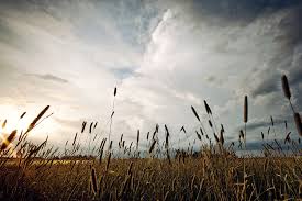 Ålesund (forhandler) veøy møre as, blindheim industriveg 2b. Vormsund Lars Olav Dybvig Flickr