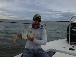 Golden Trevally Picture Of Hi Tide Fishing Honolulu