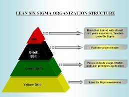 lean six sigma lean six sigma organization structure