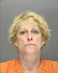 Featherly Susan Grand Theft Motor Vehicle Mug Shots Florida People