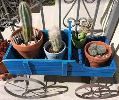 No, it does not look like your cactus is dying. Why We Need To Repot Newly Bought Succulents Succulent Plant Care