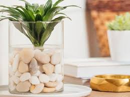 Take Your Green Thumb Indoors By Creating An Indoor Water Garden Using Aquatic Plants And Decorative Stones Indoor Water Garden Water Gardens Diy Water Garden