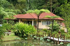 Janda baik is a village in bentong district, pahang, malaysia. Janda Baik Pahang Sailor S Rest Janda Baik