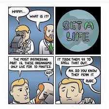30 Hilarious Memes And Comics For Science Lovers With Images Nerdy Jokes Lab Humor Funny Puns