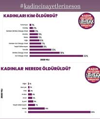 2020 yılına gelindiğinde ise rakam; Kadin Cinayetleri Uludag Sozluk