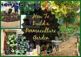 A permaculture garden is one that takes advantage of beneficial relationships between plants. Permaculture Design Principles 12 Steps To A More Productive Garden