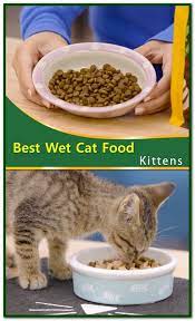 Best Wet Cat Food Kittens Wet Cat Food Cat Nutrition Kitten Food