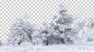 Snow Tree Winter Birch Png 1080p Black And White Bliz Branch Christmas Decoration Snow Tree Snow Art Decoration