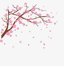 Vector Cherry Cherry Blossom Clipart Vector Cherry Blossoms Png Transparent Clipart Image And Psd File For Free Download Cherry Blossom Drawing Cherry Blossom Art Flower Png Images