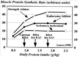 For the former, protein is the macronutrient that repairs muscle fibers after they have been torn in workouts. The Myth Of 1 G Lb Optimal Protein Intake For Bodybuilders