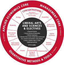 aem degree requirements cornell dyson