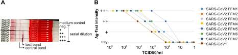 Besteht hoffnung auf ein medikament? Evaluation Of A Sars Cov 2 Rapid Antigen Test Potential To Help Reduce Community Spread Medrxiv