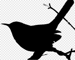 The cactus wren is a species of wren that is native to the southwestern united states southwards to central mexico. House Wren Bird Cactus Wren Cactus Wren Sounds Branch Monochrome Png Pngegg
