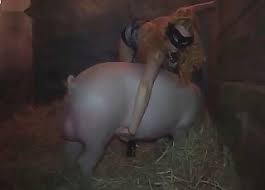 Le célèbre psychiatre y distingue la « zoophilie érotique » (zoophilia erotica) ou « bestialité » (bestialität) de la zoophilie à considérée comme une déviance ou une perversion sexuelle. Porc Videos Anal Zoofilia Les Plus Populaires Page 1