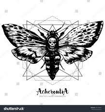 How to draw marvel superheroes. Death S Head Hawk Moth And Sacred Geometry Lines Royalty Free Stock Vector 491587843 Avopix Com