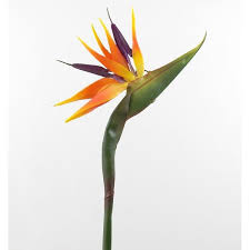 Orange Bird Of Paradise In Pot Plastic Bird Of Paradise Red Orange Purple 31 80 Cm Artificial 11 Liked On P Artificial Plant Arrangements Artificial Plants Artificial Plants Decor