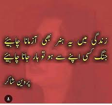 BMK_DON 💔😭😭😭😢 | Parveen shakir poetry, Best urdu poetry ...