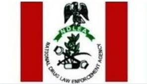 The agency is a paramilitary structure; National Drug Law Enforcement Agency Ndlea Salary Structure