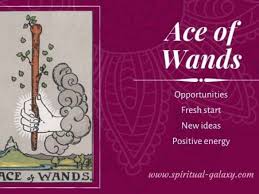 Modern tarot readers interpret the ace of wands as a symbol of optimism and invention. Ace Of Wands Tarot Card Meaning Upright Reversed Spiritual Galaxy Com