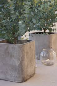 Hubsche Quadratische Betonpflanzgefasse Verwenden Sie Quadratische Eimer Als Formen Beton Diy Cement Planters Diy Concrete Planters Large Concrete Planters