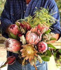 Pin On Mixed Protea Bouquets