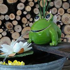 Lebe Glucklich Lebe Froh Wie Ein Frosch Im H2o Daran Wird Dich Sir Froggy Immer Erinnern Wenn Du Ihn Siehst Du Kannst Ihn Keramik Frosche Keramik Ideen