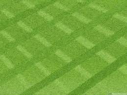 Things you should know about the job would be: How To Mow A Lawn With Pictures Wikihow