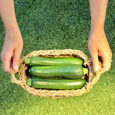After the usual zucchini recipes like soups, fritters and curries, there was still plenty to. 45 Zucchini Growing Tips How To Grow Perfect Zucchini The Frugal Girls