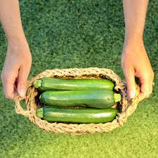 Store your zucchini in a paper bag to keep it fresh! 45 Zucchini Growing Tips How To Grow Perfect Zucchini The Frugal Girls