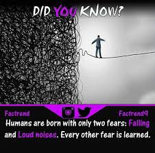 Fear Is An Illusion In 2020 Motivational Thoughts Illusions Loud Noises