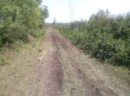 Image result for homabay bad dry weather roads