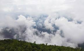 SA Weather Alert: Moderate Rain Expected! Is Your Area Affected?