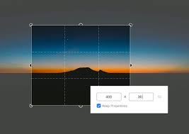 [Best] Online Image Cropper for you Photos - Crop your Photo for Free and online