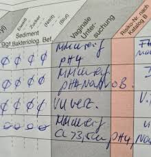 Der pass sollte immer dabei sein. Mutterpass Entziffern Schwanger Wer Noch