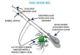 Pin On Fishing