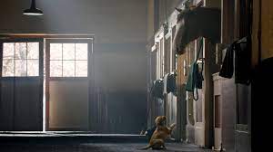 Why Budweiser S Puppy Love Is The All Time Most Popular Super Bowl Ad Inc Com