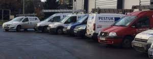 Book mice, ant, or rat control with fantastic services today. Basingstoke Deane Council Pest Control Prices Pestuk