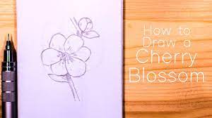 Maybe you would like to learn more about one of these? How To Draw Cherry Blossom Sakura Step By Step For Beginners Youtube