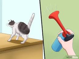 Cat deterrent, free shipping & low prices, shop now! 3 Ways To Prevent Cats From Jumping On Counters Wikihow