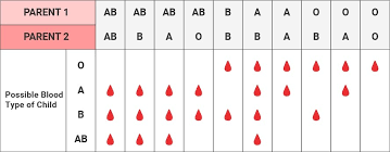 All Blood Group Chart Jalake